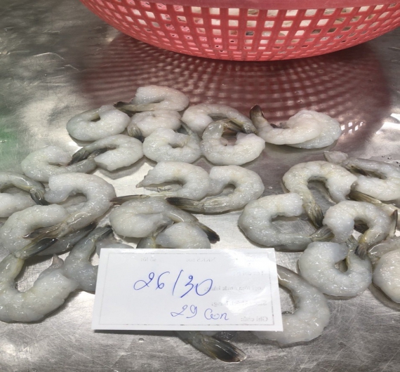 TÔM THẺ CÓ ĐUÔI ĐÔNG LẠNH 